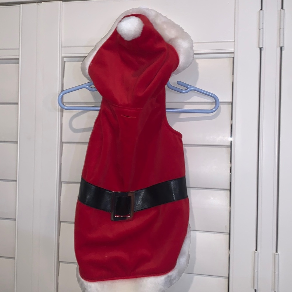 Dog Santa costume